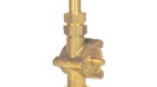 ũ 